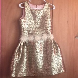 Cat and Jack Gold Dress